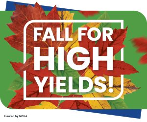 Fall for High Yields!